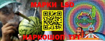 мдпв Нальчик
